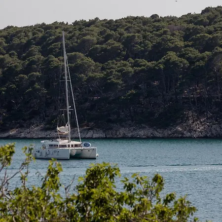 & Vidas Guest house 3*