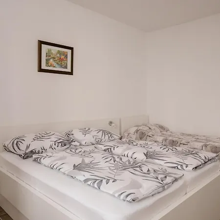 Guest house & Vidas